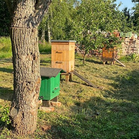 Agroturystyka Borow Prusice Exterior foto