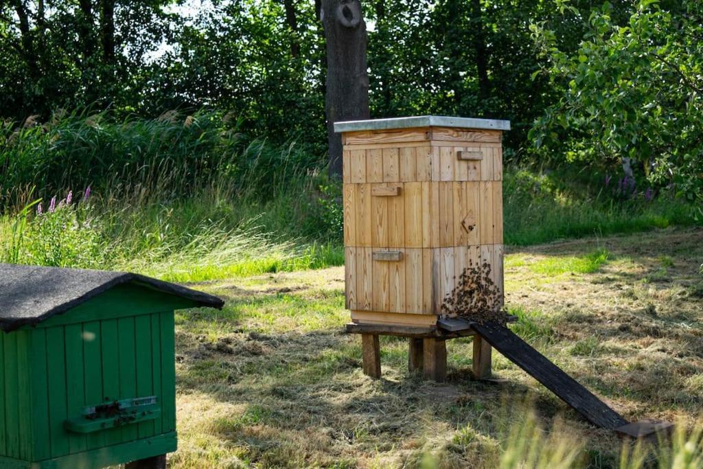 Agroturystyka Borow Prusice Exterior foto