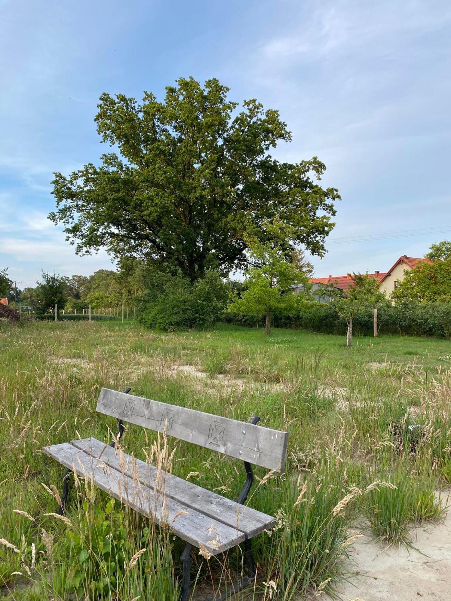 Agroturystyka Borow Prusice Exterior foto