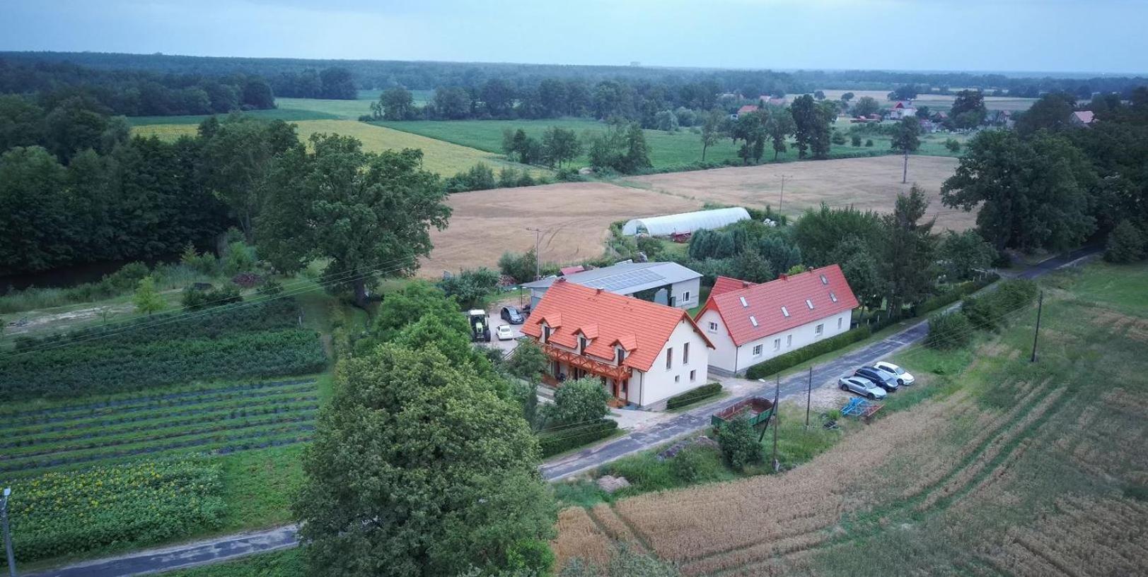 Agroturystyka Borow Prusice Exterior foto